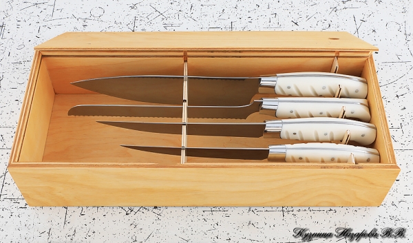 Набор из 4 кухонных ножей, сталь 95Х18, рукоять из белого акрила в футляре