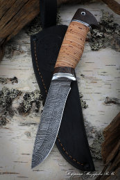 Knife Falcon Damascus wavy birch bark