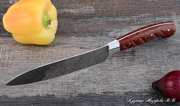 Knife Chef No. 10 steel 95h18 handle acrylic red