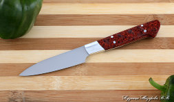 Chef vegetable knife steel 95h18 handle acrylic red