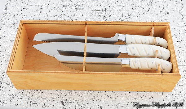Set of 3 kitchen knives, 95h18 steel, white acrylic handle in a case