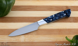 Chef Vegetable Knife steel 95h18 handle Acrylic blue