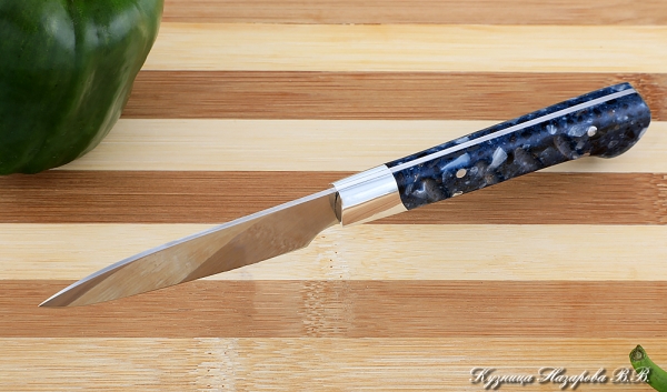 Chef Vegetable Knife steel 95h18 handle Acrylic blue