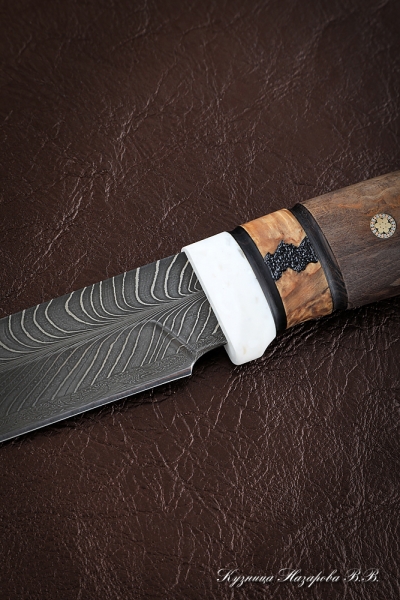 Moray Eel Damascus end knife (feather) Karelian birch (Sicac)