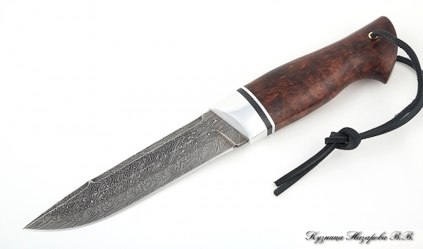 Boar Damascus end knife stabilized Karelian birch (brown)