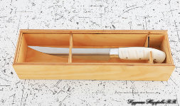 Knife Chef No. 5 steel 95h18 handle acrylic white in a case 