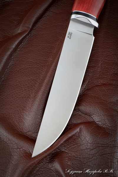 Knife Zasapozhny M390 stabilized Karelian birch red