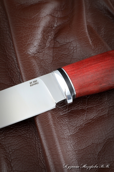 Knife Zasapozhny M390 stabilized Karelian birch red